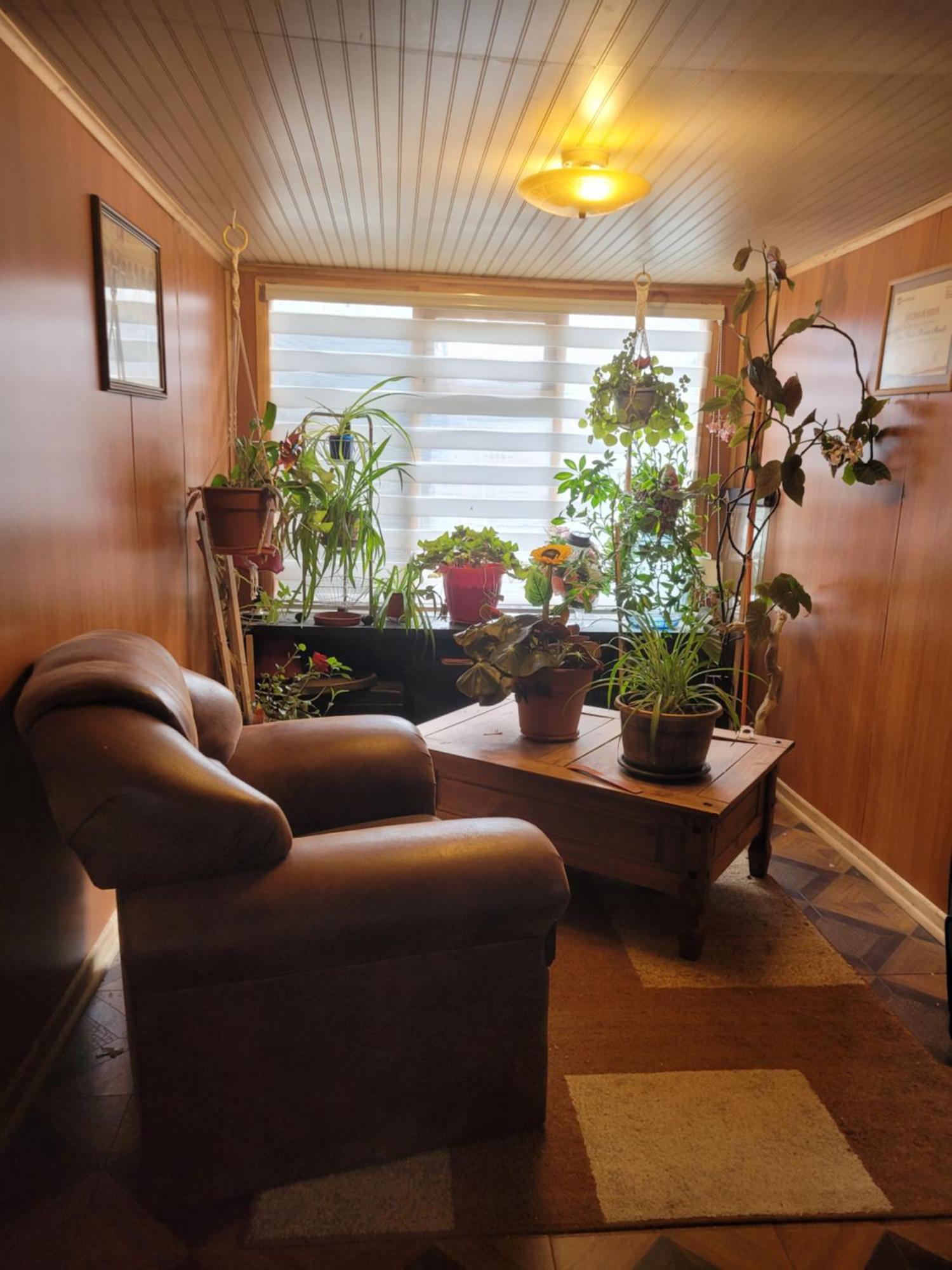Hostal Traveltour El Campesino ปวยร์โตนาตาเลส ภายนอก รูปภาพ